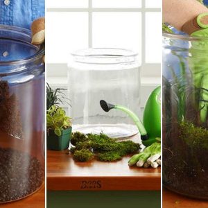 novenyterrarium asztalra 01