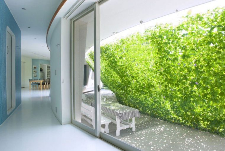 arnyekolo novenyfuggony 01