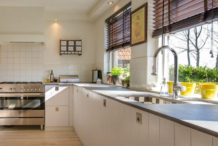 dekorativ konyhai novenyek 08