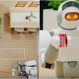 robot