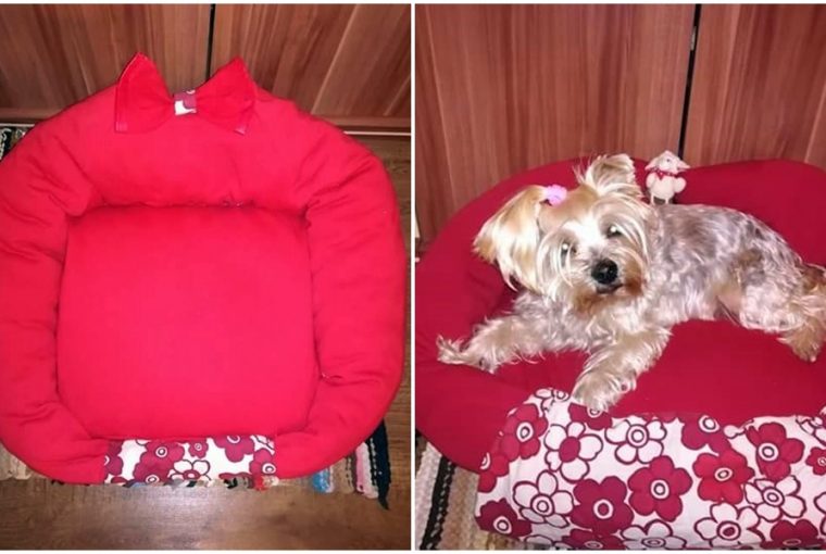 kutyafekhely puloverbol