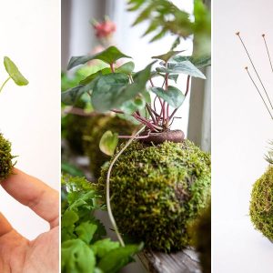 kokedama 7 pont 03
