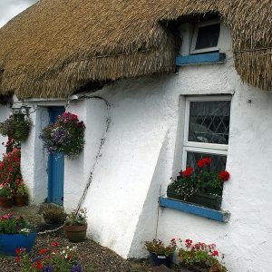 nadteto
