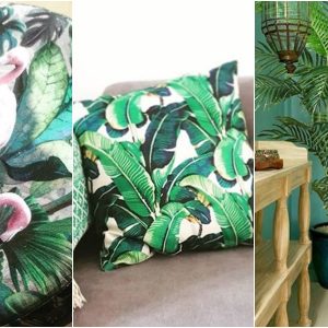 tropic