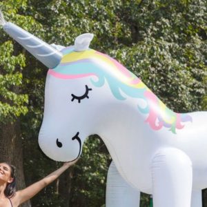 unicorn