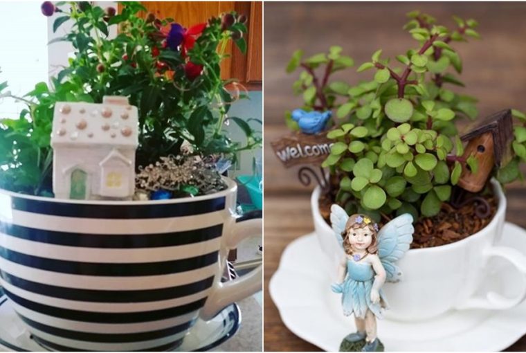 teacup