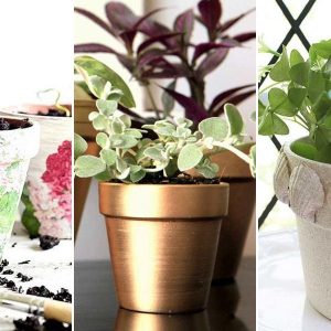 viragcserep ujjavarazsolva 11