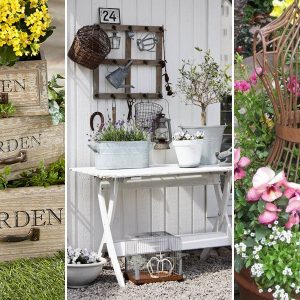 kerti disz osdi kacatbol 10