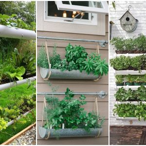 viragtarto ereszcsatornabol