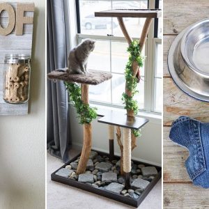 hobbiallat projektek 13