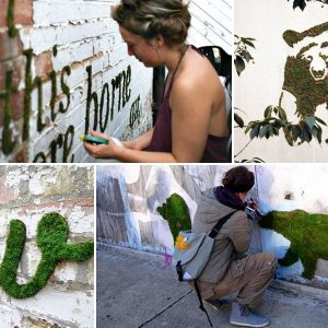 mohagraffiti keszitese 15