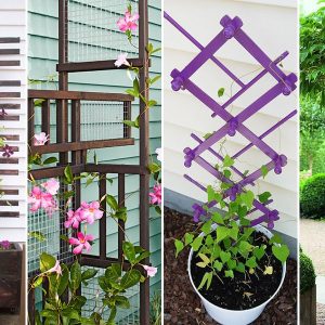 stilusos novenyfuttatok 21