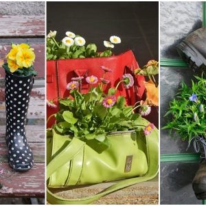 ruhabol cipobol kaspo