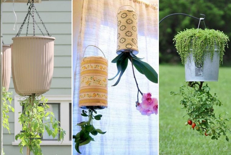 fejtetore allitott ultetoedenyek 16