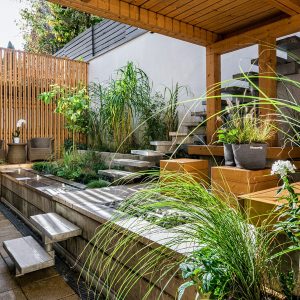 diszfufelek dezsaban 13