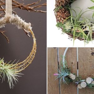 ajtokoszoru tillandsiaval 11