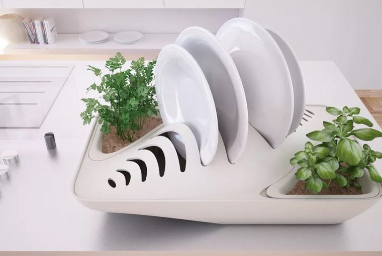 dish