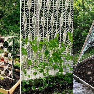 kezimunkazott novenyfuttato 10