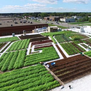 montreali szupermarket tetokert 01