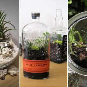 novenyterrarium tiz otlet 13