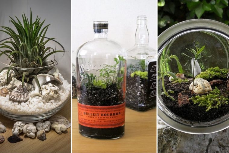 novenyterrarium tiz otlet 13