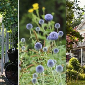 kilenc skandinav hagyomany 16