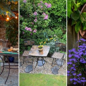 kulter kicsinositasa 01