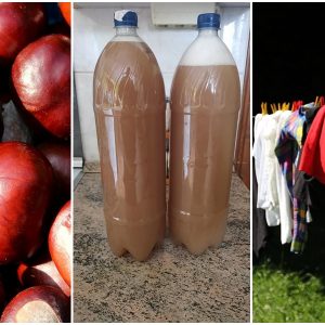 mosogel vadgesztenyebol 1