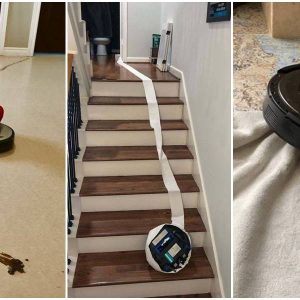 roomba
