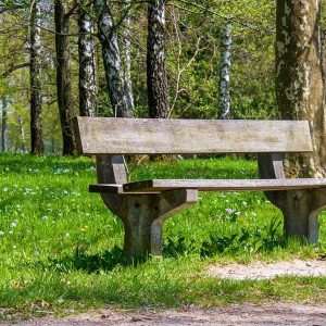 park
