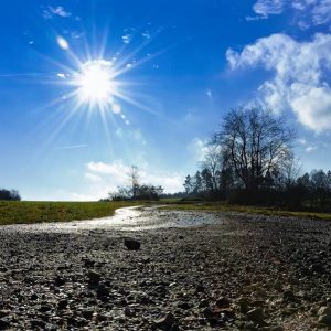 klimavalsag
