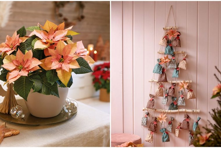 adventi naptar mikulasviraggal