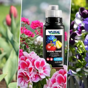 univerzalis tapoldat helyes dontes 01
