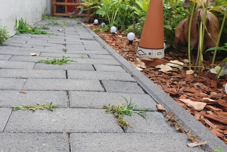 terkovel burkolt teruletek gyomtalanitasa 01