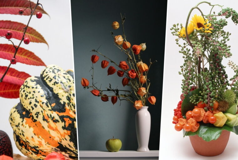 oszi hangulatot novenydiszekkel 01