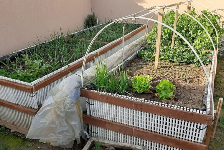 magasagyas medenceracsokbol