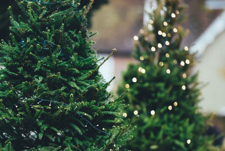 miert pont a fenyofa lett a karacsony jelkepe