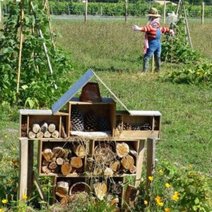 kerteszkedes vagy permakultura