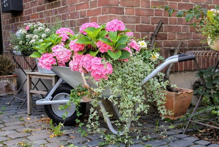 talicska a kertben 1