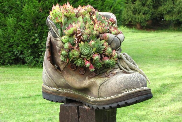 cipobe ultetett novenyek