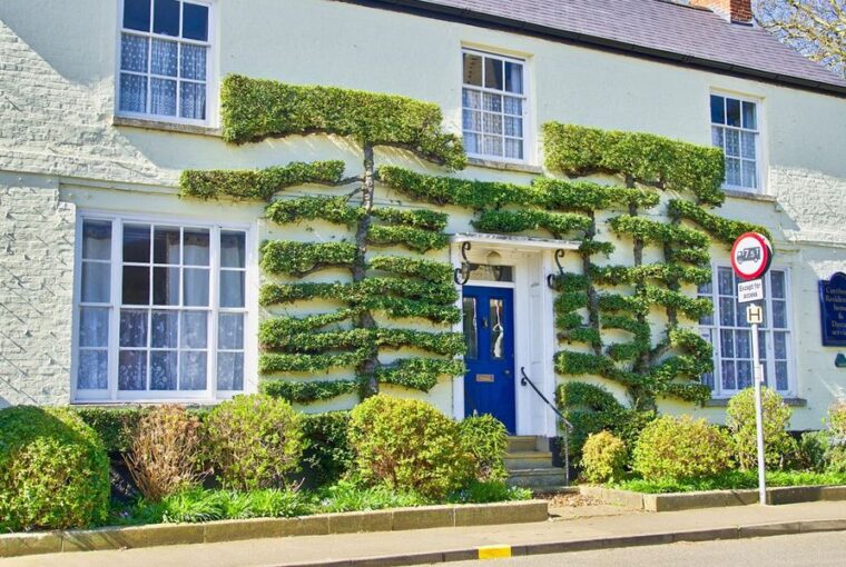 espalier 1