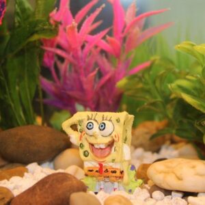 mi az az aquascaping 3