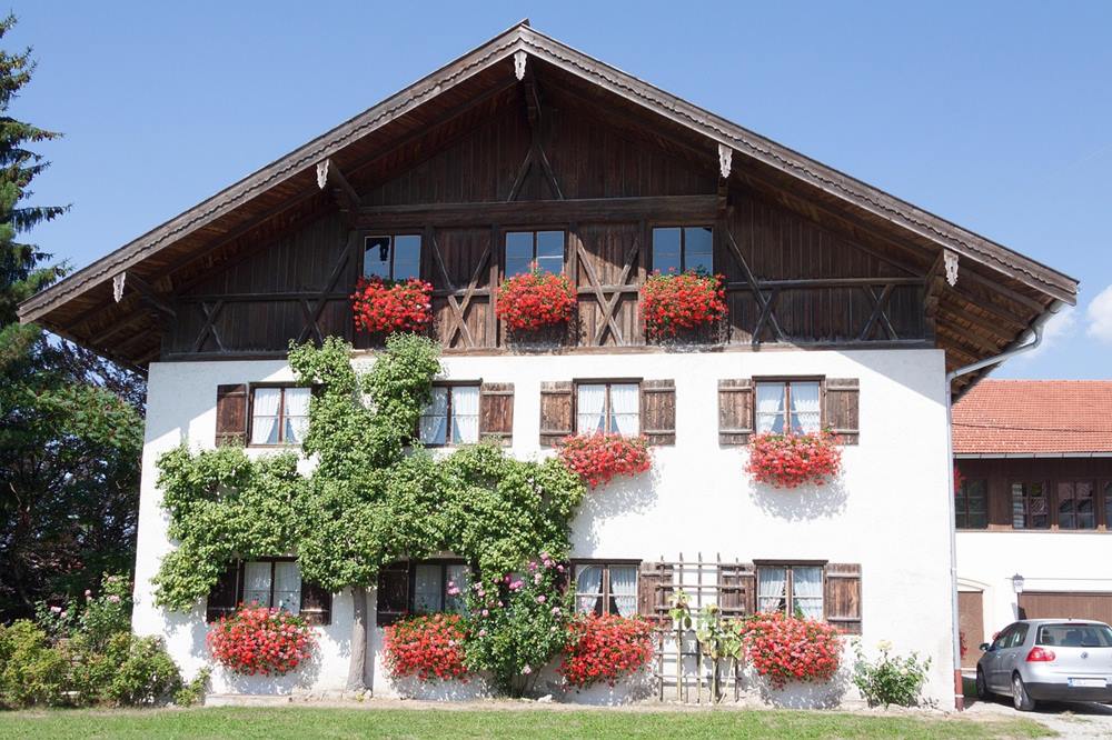 espalier 4 espalier 4