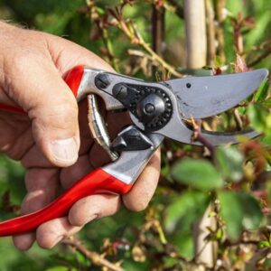 balkezes kerteszeknek is keszul metszoollo