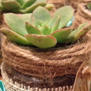 bebieteles uvegbol csinaltal mar csodat 1