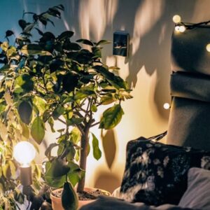 fenyfuzer ami csodat tesz