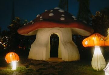 gombabol epul a jovo