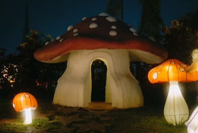 gombabol epul a jovo