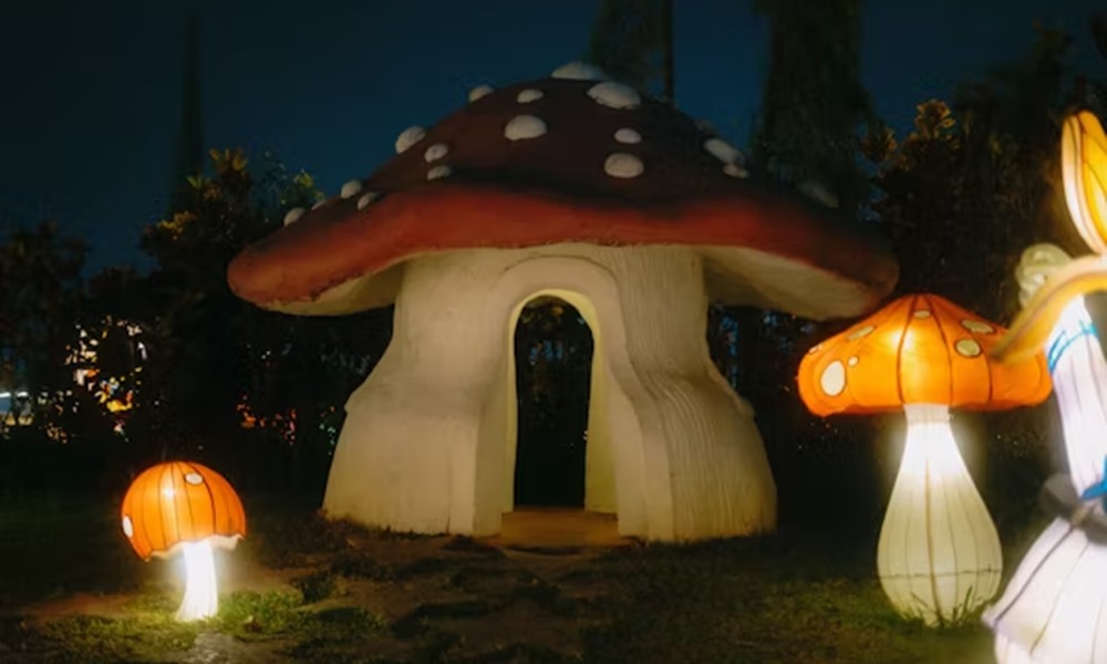 gombabol epul a jovo