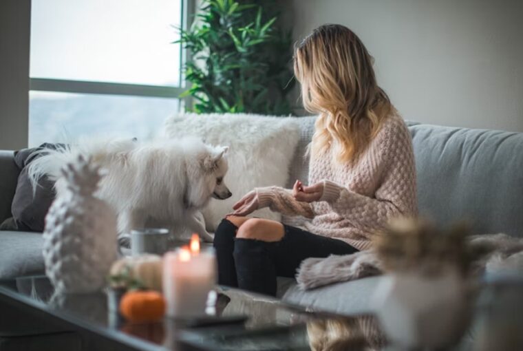 lakasod elarulja kivel elsz